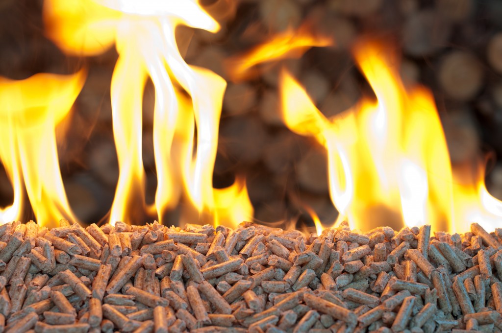 Have your say on the future of biomass