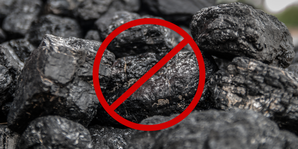 Ban on coal – here are the fuels you can use
